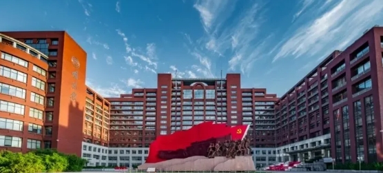 通知公告